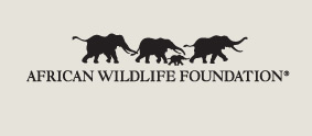 African Wilderness Foundation